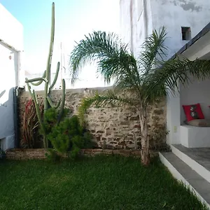 Koala , Tarifa Spagna
